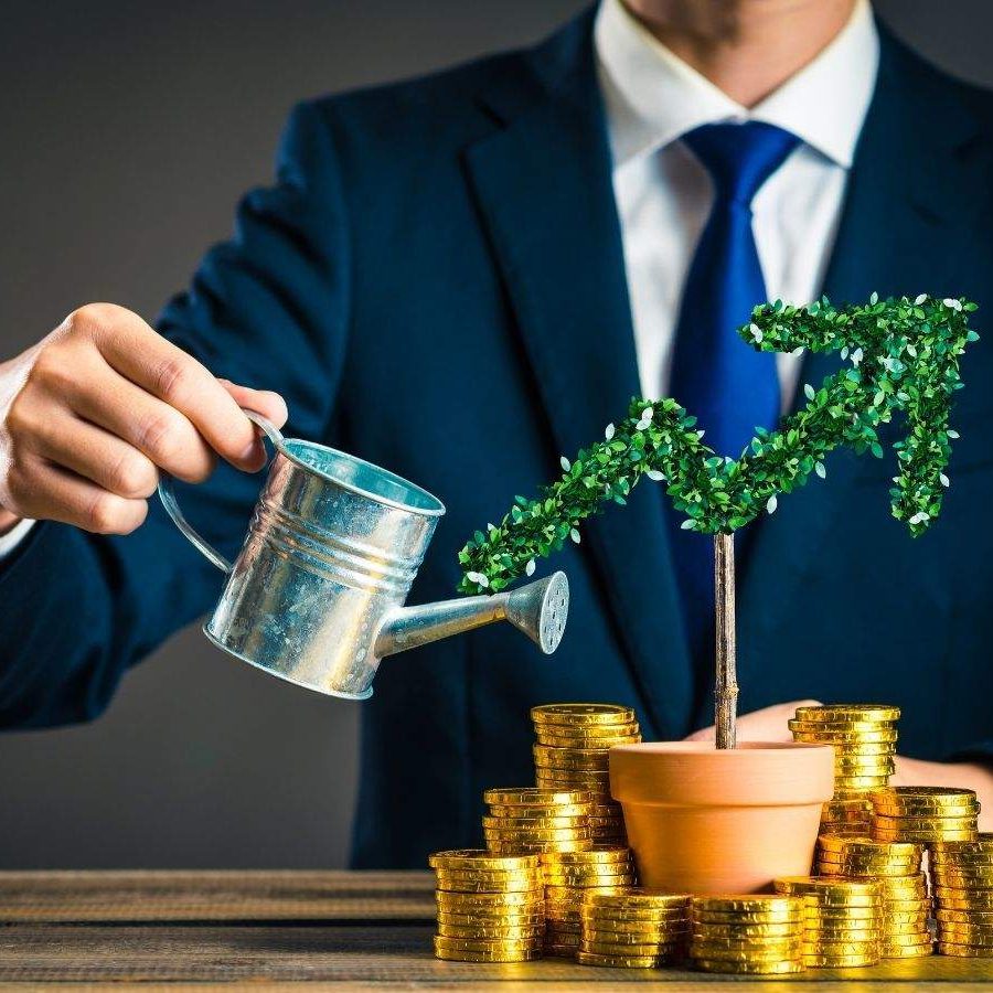 mutual fund mutual fund